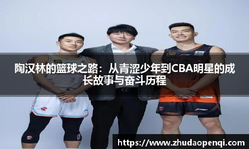 陶汉林的篮球之路：从青涩少年到CBA明星的成长故事与奋斗历程