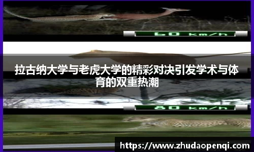 拉古纳大学与老虎大学的精彩对决引发学术与体育的双重热潮
