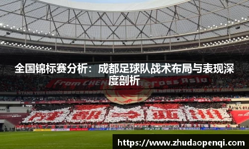 全国锦标赛分析：成都足球队战术布局与表现深度剖析